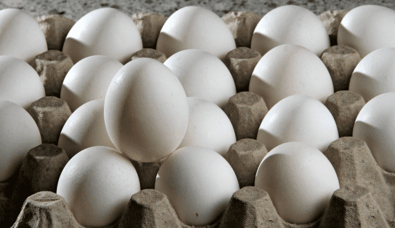 Thumbnail for Malaysia to save US$10.6 million monthly by cutting egg subsidies