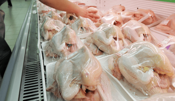 Thumbnail for China bans Spanish poultry imports after bird flu detection