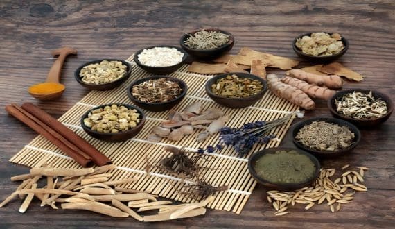 Thumbnail for LeafWorks launches enhanced DNA tests to verify botanical ingredients, detect contaminants