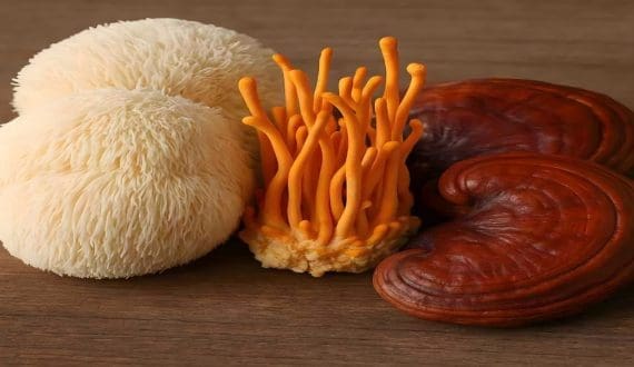 Thumbnail for Nammex’s sensory science reveals formulation insights for functional mushroom market