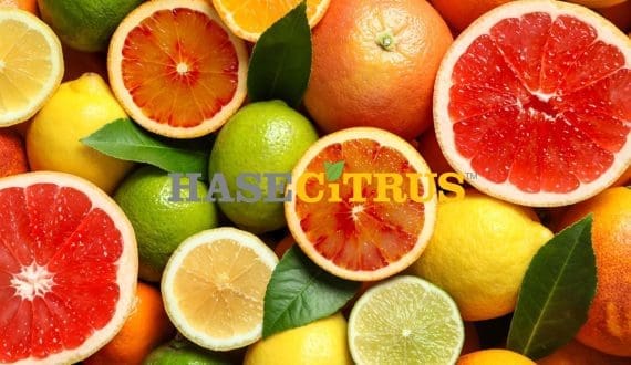 Thumbnail for T. Hasegawa USA debuts Hasecitrus technology to stabilise citrus flavour in beverages