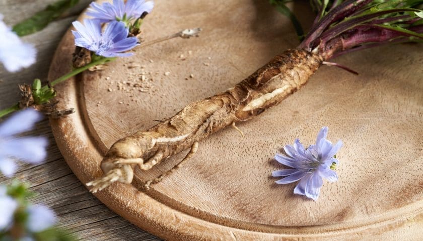 Thumbnail for BENEO secures Thai FDA approval for exclusive prebiotic claim on its chicory root fibre