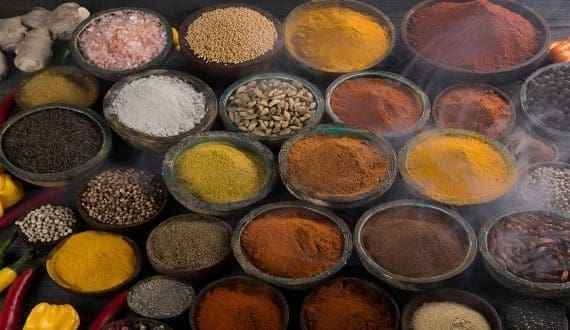 Thumbnail for Ede Food Innovation Park to drive sustainable protein development across Europe