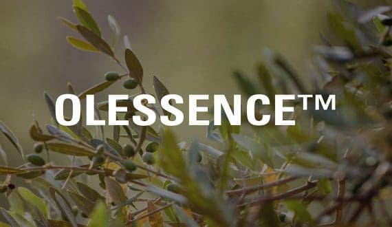 Thumbnail for Kemin EMEA introduces OLESSENCE™ P Dry, G Liquid to meet demand for clean-label food ingredients