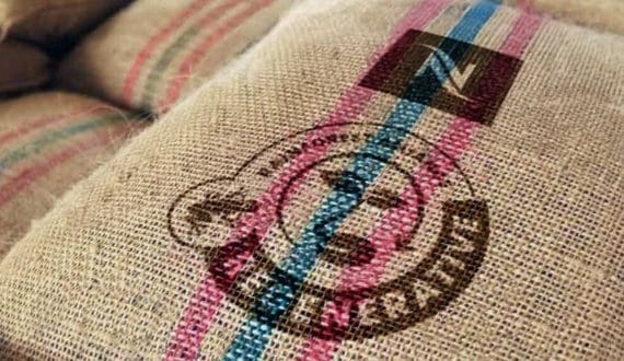Thumbnail for Nespresso to launch first Rainforest Alliance regenerative certified coffee in 2026