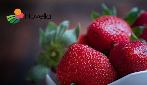Thumbnail for Novella unveils strawberry bioactive for nutraceutical innovation