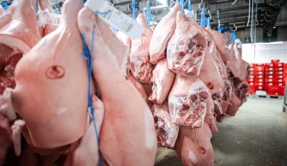 Thumbnail for Philippines to hold off price cap on pork, chicken in September as retail costs continue to drop