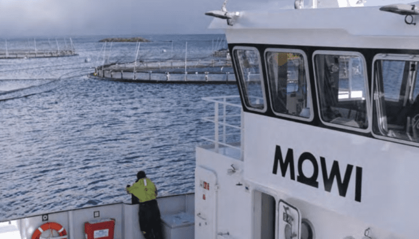 Thumbnail for Mowi to raise 2025 production target despite weaker Q2 earnings