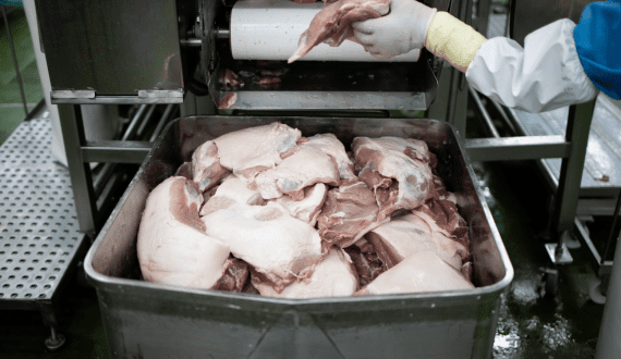 Thumbnail for Indonesia approves more Brazilian plants to supply beef