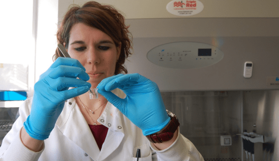 Thumbnail for UK’s CellRev to enter administration and selling its assets due to funding issues