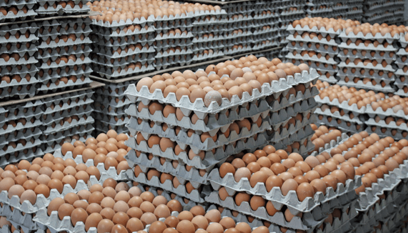 France raises alarm over Ukrainian egg imports | Food Business Middle East  & Africa - Africa's No.1 Food & Beverage Manufacturing Industry Magazine  and Website