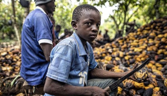 Thumbnail for Ferrero launches initiative to protect children in Côte d’Ivoire cocoa communities 