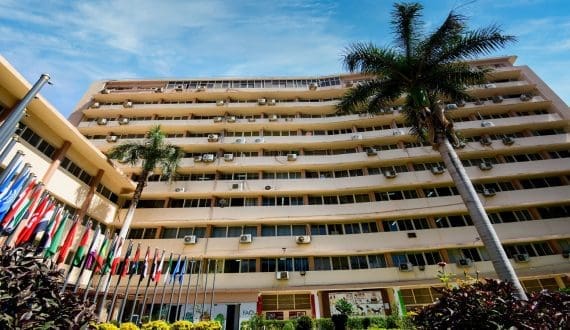 Thumbnail for Global probiotic market projected to surpass US$280B by 2032