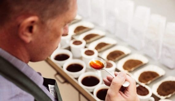 Thumbnail for Togo’s Fair Trade Cocoa Cooperatives eligible for new EU-backed agroecology financing program 