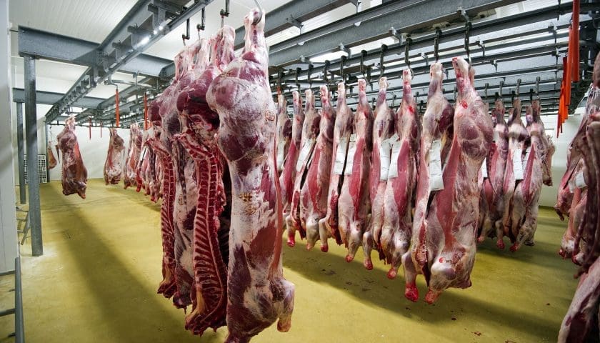 Thumbnail for China seeks 20,000 tonnes of Namibian beef monthly