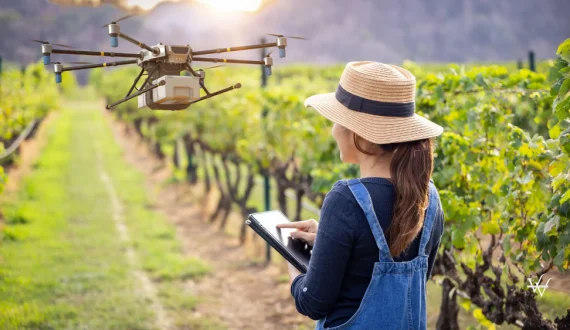 Thumbnail for Enartis to acquire Parsec, creating global leader in smart winemaking Technologies 