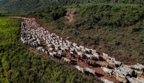 Thumbnail for JBT Marel inaugurates Global Production Center in India