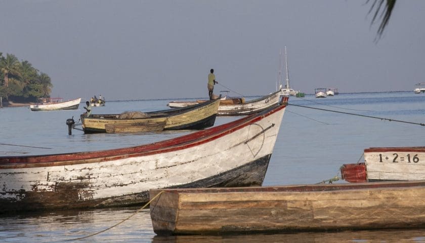 Thumbnail for New AfDB report reveals inland fishing remains a major food source across the Sahel