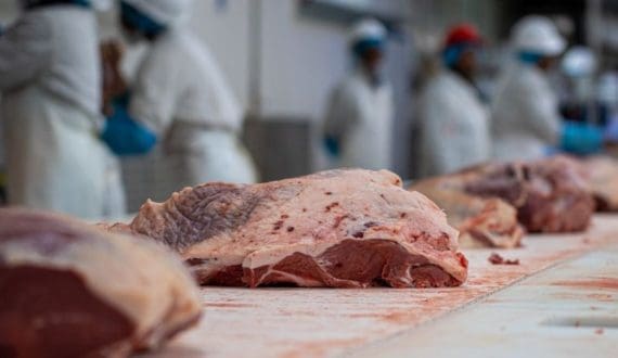 Thumbnail for Brazil’s Tace Trading invest in beef processing complex in Cameroon