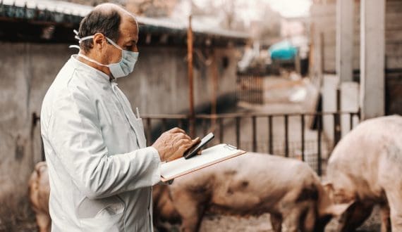 Thumbnail for Pilgrim’s Europe reports profit growth despite revenue dip