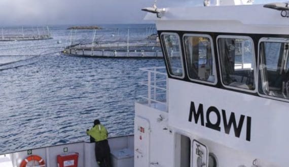 Thumbnail for Dawn Meats increases offer for Alliance Group