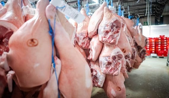 Thumbnail for Malaysia’s aquaculture sector nets over US$200M