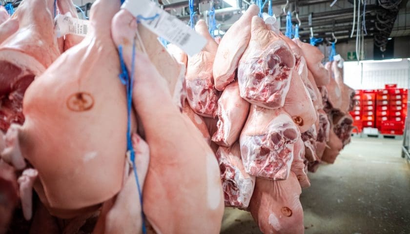 Thumbnail for CPF partners with Japan’s NH Foods in US$55m pork-processing venture