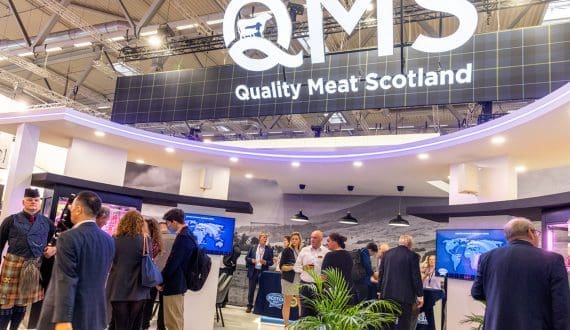 Thumbnail for MartinBauer expands U.S. footprint with acquisition of American Botanicals