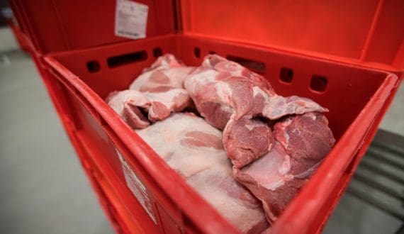 Thumbnail for France imposes temporary ban on cattle exports as lumpy skin disease spreads