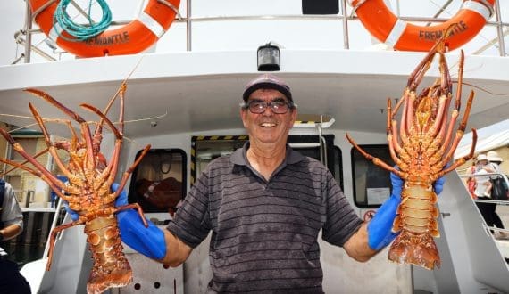 Thumbnail for Global pork demand remains steady in 2025