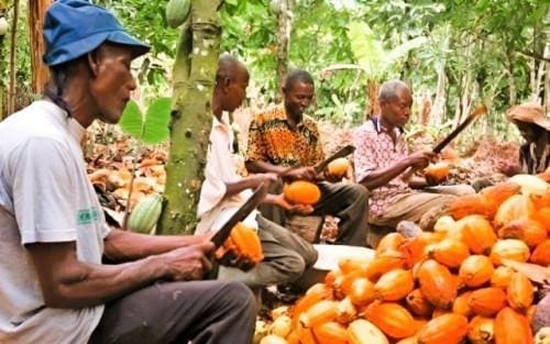 Thumbnail for Mondelez unveils Oreo zero sugar in U.S. market as demand for healthier snacks rises