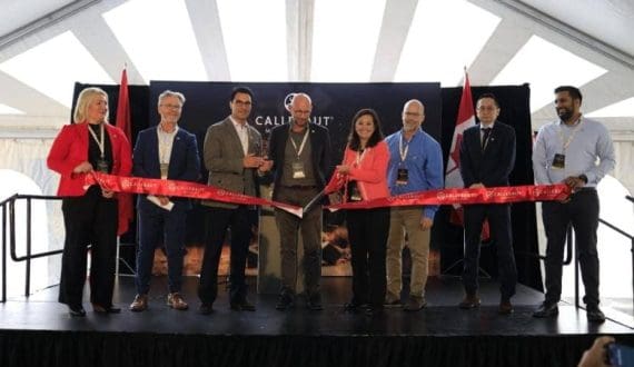 Thumbnail for Non-alcoholic beverages can’t be sold as gin, EU court rules 