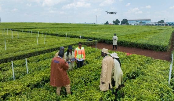 Thumbnail for Global alcohol consumption set for sharper decline in 2025 – IWSR 