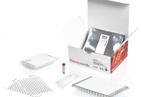 Thumbnail for Thermo Fisher launches industry-first Multiplex qPCR Assay for faster beverage spoilage detection 