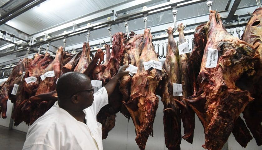 Thumbnail for South Africa seeks broader meat export access in Asia