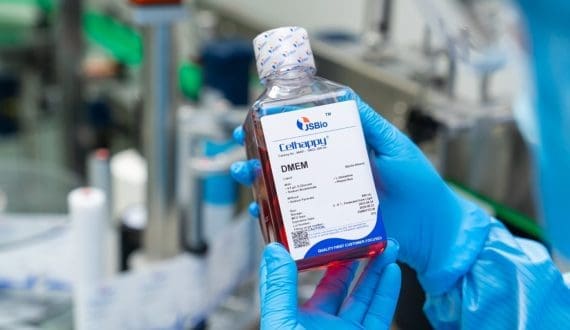 Thumbnail for Europe, U.S. face rising bird flu outbreaks