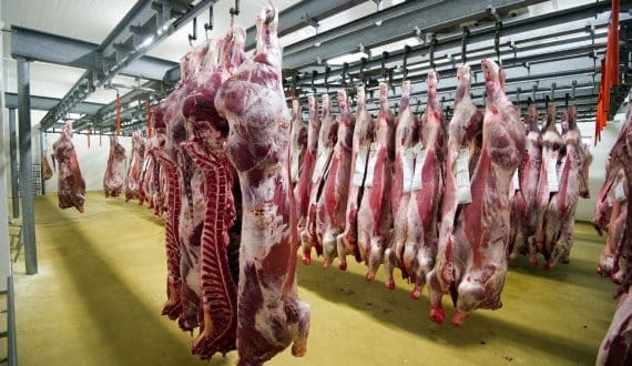 Thumbnail for Tanmiah Food, Strataphy launch MENA’s first geothermal-cooled poultry farm