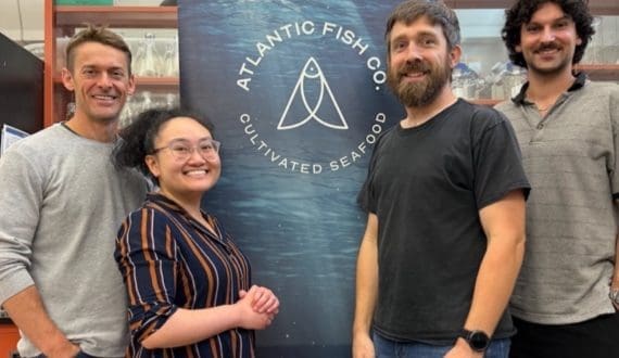 Thumbnail for US Justice Department to launch probe into meatpacking giants over price manipulation claims