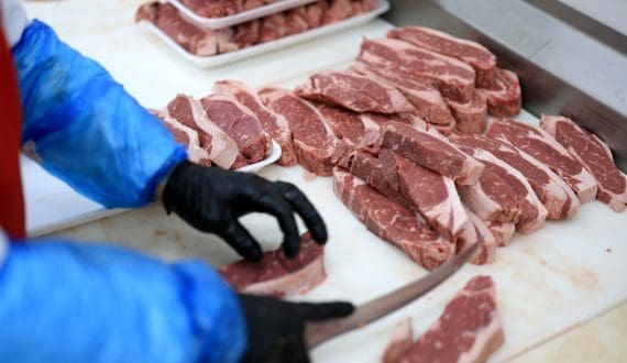 Thumbnail for Mark Jollymore appointed permanent CEO of Innovasea