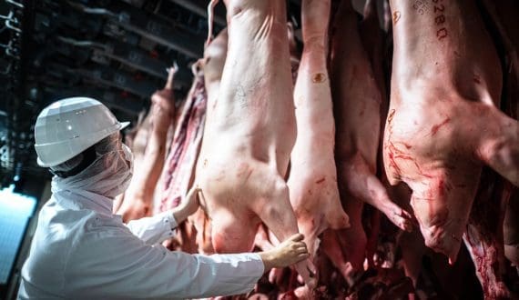 Thumbnail for US signs agreements to improve meat trade with four Latin American countries