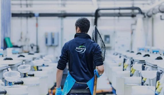 Thumbnail for Gabon launches training program to develop local poultry industry