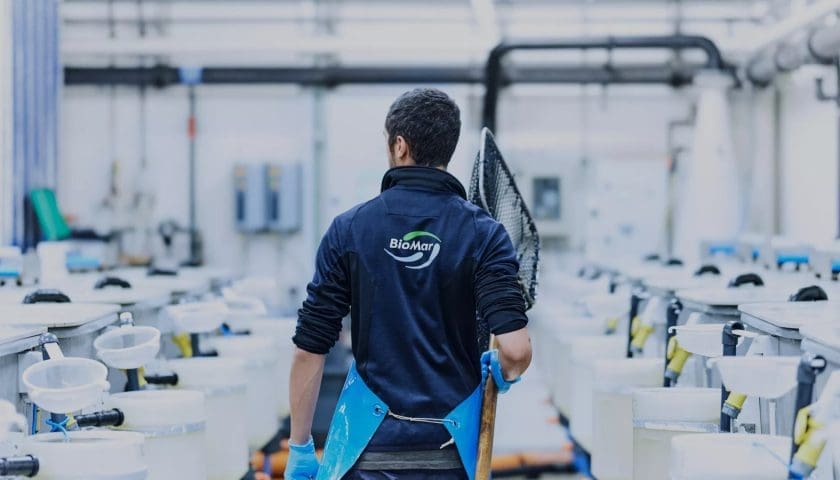 Thumbnail for BioMar reports strong Q3 2025 growth but narrows full-year guidance