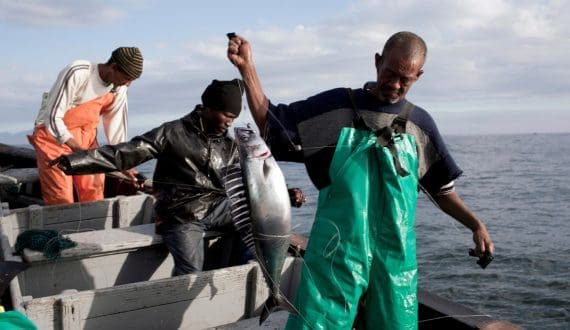 Thumbnail for Philippine pork, chicken production among most expensive in Asia – PIDS