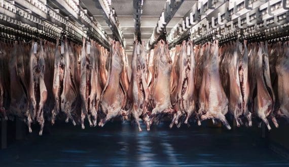 Thumbnail for Trump lifts 40% tariff on key Brazilian food, beverage imports 