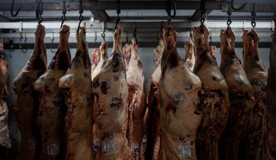 Thumbnail for Hubbard appoints Yannick Levantard as Area Manager for East and Southern Africa