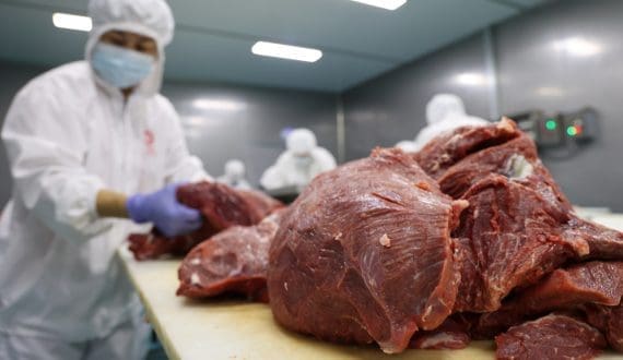 Thumbnail for OK Zimbabwe closes 11 stores amid financial struggles