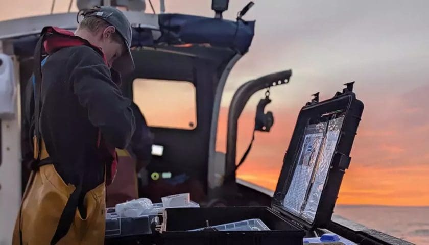 Thumbnail for Nestlé partners with UK, New Zealand researchers on aquaculture sustainability