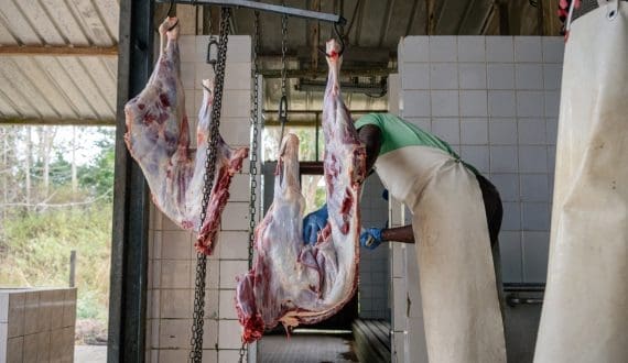 Thumbnail for Pernod Ricard appoints Florence Tresarrieu as new CEO of Corby Spirit and Wine 