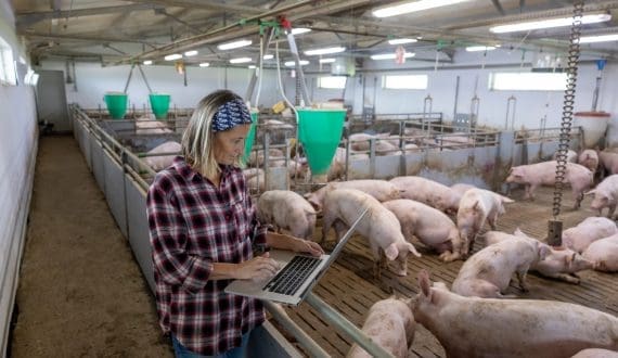 Thumbnail for US signs pork export deals with Malaysia, Cambodia