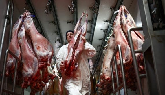 Thumbnail for Danish Crown exceeds sales expectations with beef-vegetable blend